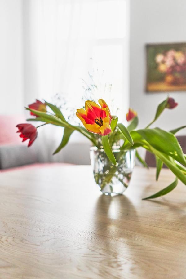 New And Lovely Apartament In Vilnius City Centre Kültér fotó